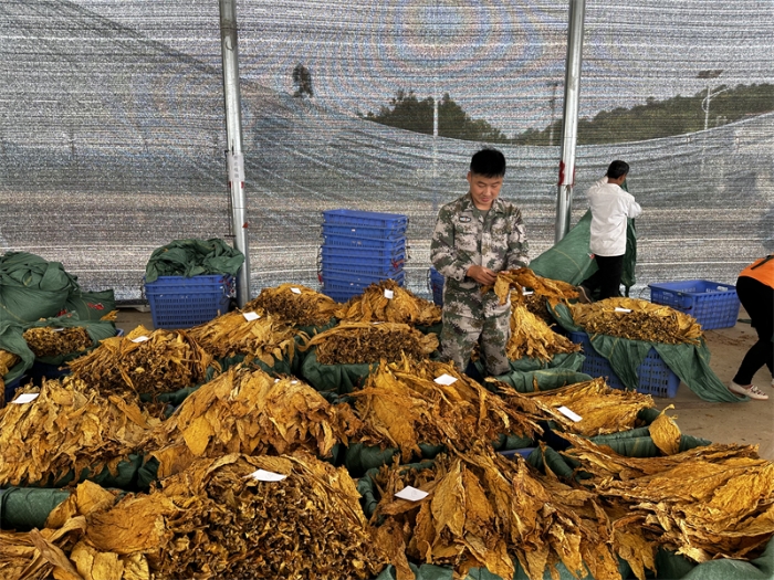 微信图片_20230926095850